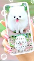 Fluffy Cute Dog poster