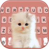 Fluffy Innocent Cat Keyboard B