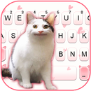 Фон клавиатуры Funny Cat Face APK