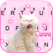 Фон клавиатуры Funny Crazy Cat