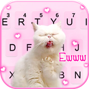 Фон клавиатуры Funny Crazy Cat APK