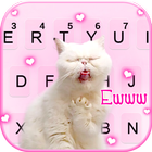 Funny Crazy Cat Zeichen