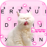 Funny Crazy Cat Zeichen