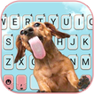 Fundo do Teclado Funny Puppy