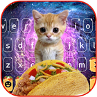 Galaxy Taco Cat icon