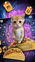 Galaxy Taco Cat screenshot 1