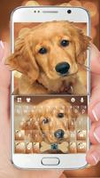 Tema Keyboard Gold Naive Puppy Cartaz
