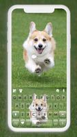 Happy Corgi gönderen
