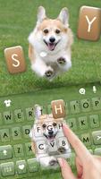Happy Corgi Ekran Görüntüsü 1