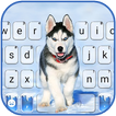 Ice Husky Fondo de teclado
