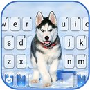خلفية الكيبورد Ice Husky APK