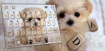 Tema Keyboard Innocent Puppy