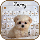 Innocent Puppy 主題鍵盤 APK