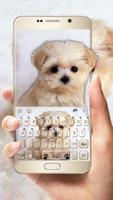 Tema Keyboard Innocent Puppy poster