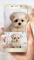 Innocent Puppy Tastatur-Thema APK Herunterladen