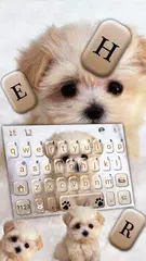 Innocent Puppy Tastatur-Thema APK Herunterladen