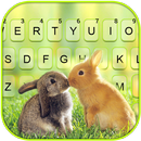 Kiss Bunny Keyboard Background APK