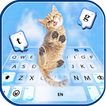 Kitty Paws Keyboard Background