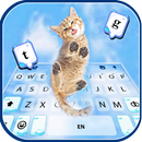 Kitty Paws Keyboard Background APK