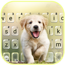 Fond de clavier Labrador Puppy APK