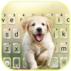Fond de clavier Labrador Puppy icône