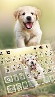 Fundo do Teclado Labrador Pupp Cartaz