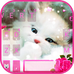 تم صفحه کليد Live Cute Kitty