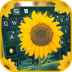 Morning Sunflower Tastaturhint