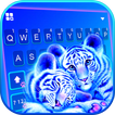 Neon Baby Tigers Tastaturhinte