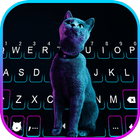 Hình nền bàn phím Neon Kitten biểu tượng