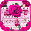 Pink Lovely Roses Tastaturhint