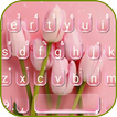 Pink Tulips Keyboard Theme