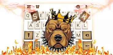 Pitbull King Fire Tema de tecl