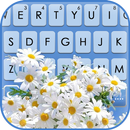 Pretty Daisies Keyboard Backgr APK