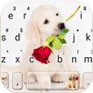 Puppy Love Rose Tema de teclad