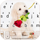 Puppy Love Rose icono