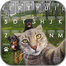Selfie Cat Klavye Arkaplanı APK