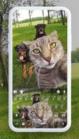 Selfie Cat Klavye Arkaplanı gönderen
