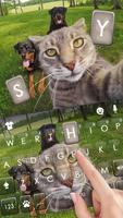 Selfie Cat Klavye Arkaplanı Ekran Görüntüsü 1
