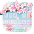 softmemories
