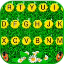 Fond de clavier Sunlight Summer Grass APK