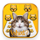 Crazy Cats 图标