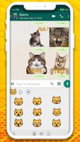 Crazy Cats 海报