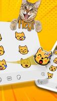 Crazy Cats 截图 3