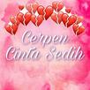 Sad Love Story APK