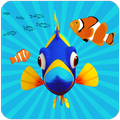 Fish Coin