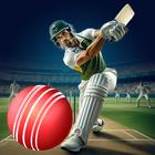 Cricket Play Time: Game 2024 icono