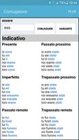 Il Coniugatore plakat