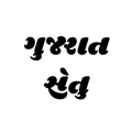 Gujarat Setu: Local News Headl