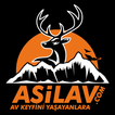 Asil Av Market